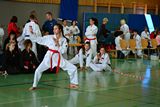 German_Open _Giebelstadt_2014_30.jpg